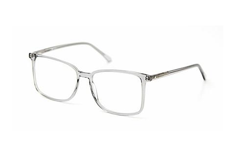 Gafas de diseño Sur Classics Bente (12520 lt grey)