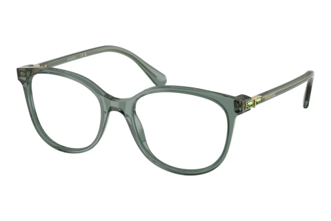Eyewear Swarovski SK2002 1043
