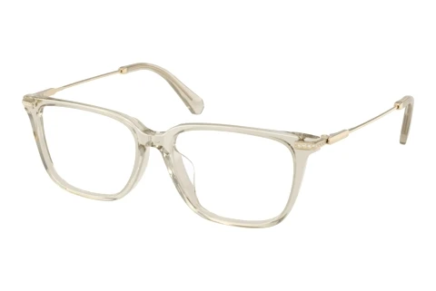 Eyewear Swarovski SK2067D 3003