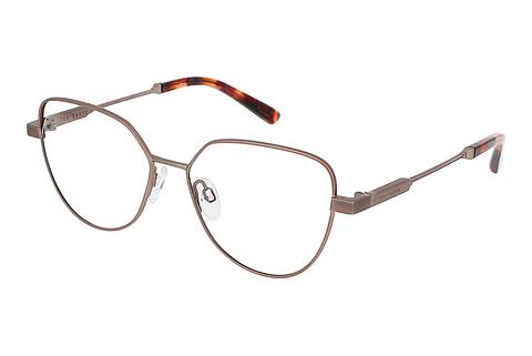 Brille Ted Baker 2283 402