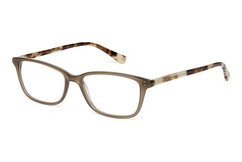 Lunettes de vue Ted Baker 399162 301