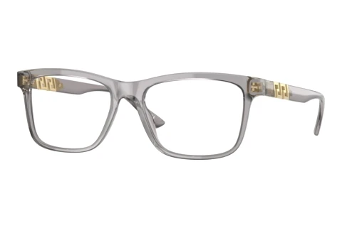 Eyewear Versace VE3319 593