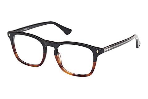 Glasögon Web Eyewear WE5386 056