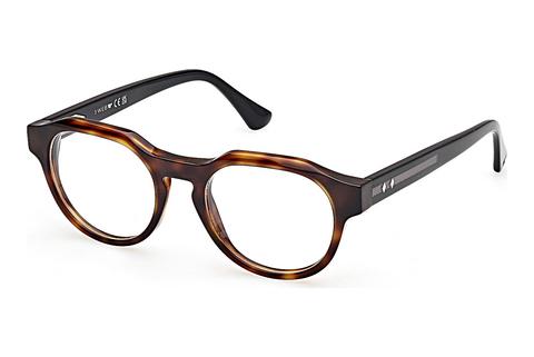 Eyewear Web Eyewear WE5421 055