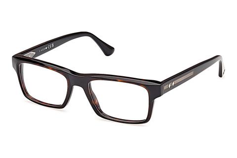 Eyewear Web Eyewear WE5432 056