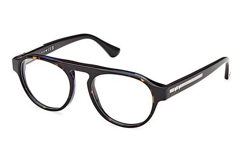 专门设计眼镜 Web Eyewear WE5433 056