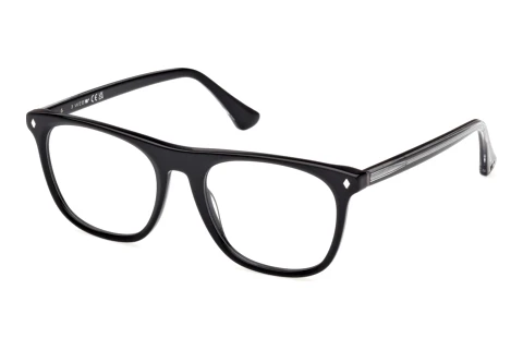Brýle Web Eyewear WE5462 005