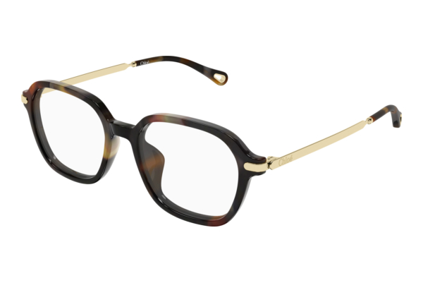 Eyewear Chloé CH0361OA 002