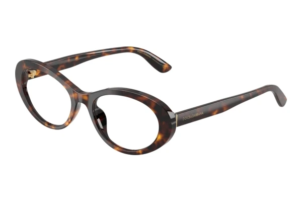 Eyewear Dolce & Gabbana DG3450 502