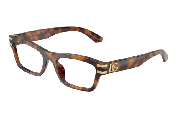 Eyewear Dolce & Gabbana DG3454 3497