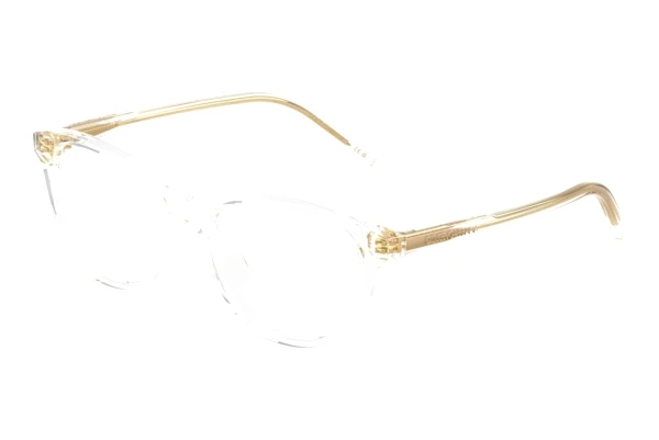 очила Dolce & Gabbana DX3002 3133