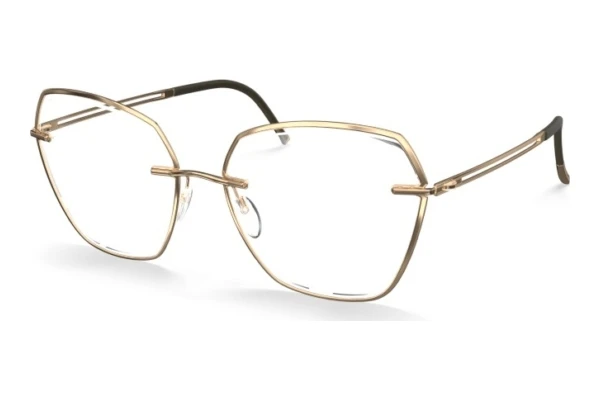 Silmälasit/lasit Silhouette Artline (4563 7520)