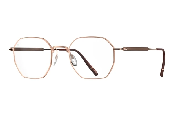Eyewear Silhouette Pure Visionary (5588 3530)