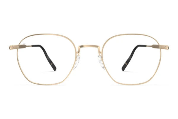 Óculos de design Silhouette Pure Visionary (5592 7631)