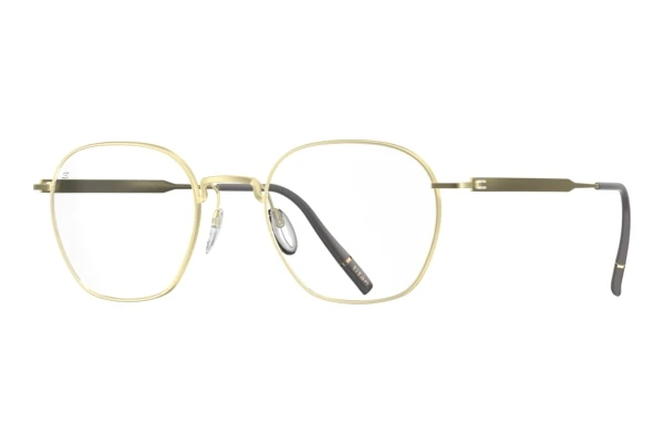 Eyewear Silhouette Pure Visionary (5592 8540)