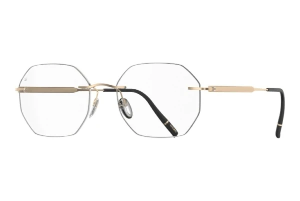 Glasögon Silhouette The Timeless Visionary (5603-KZ 7530)