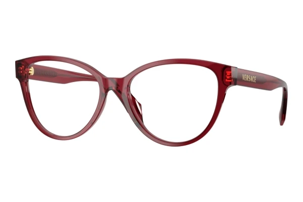 Eyewear Versace VE3399U 388