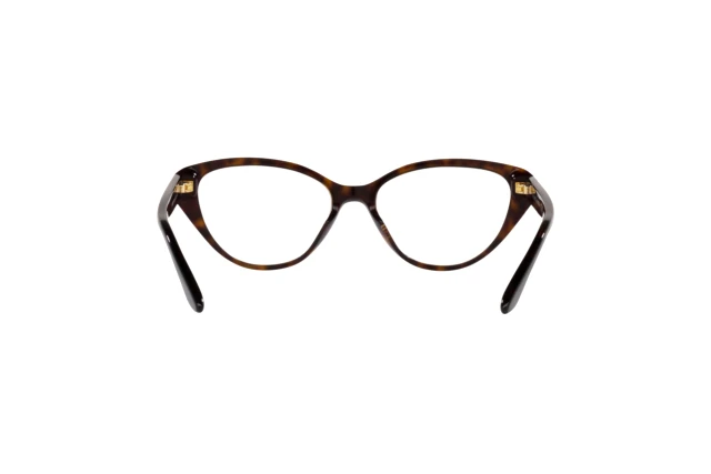 Ralph Lauren RL 6228U 5003 display picture 1