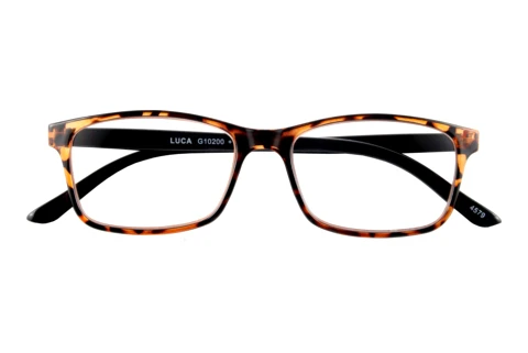  I NEED YOU LUCA G10200 braun-havanna D2.00