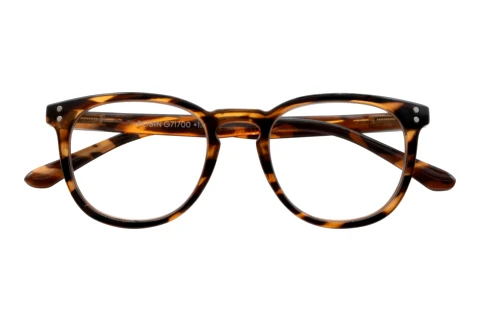  I NEED YOU ROBIN havanna D2.50
