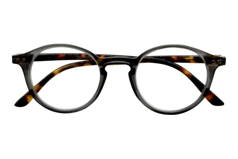  I NEED YOU SASHA G73900 grau havanna D1.00