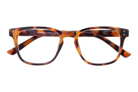  I NEED YOU STUDENT G15200 havanna D3.00