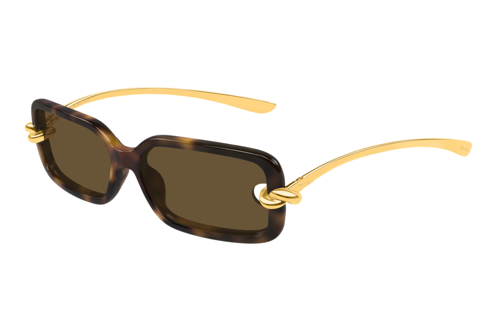 Bottega Veneta   BV1439S 002 HAVANA