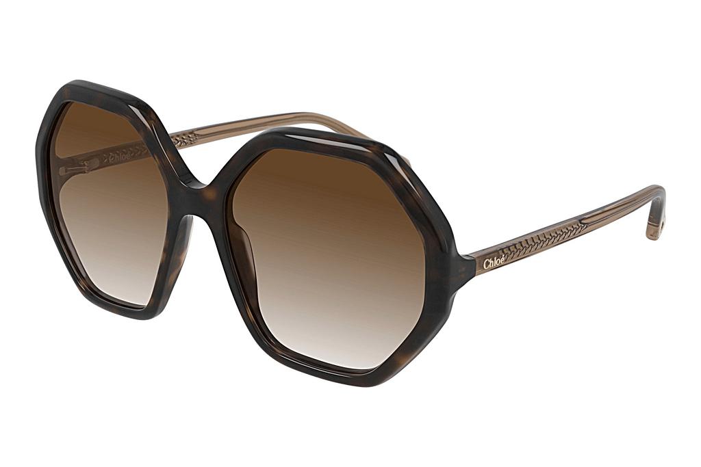 Chloé   CH0008S 004 HAVANA