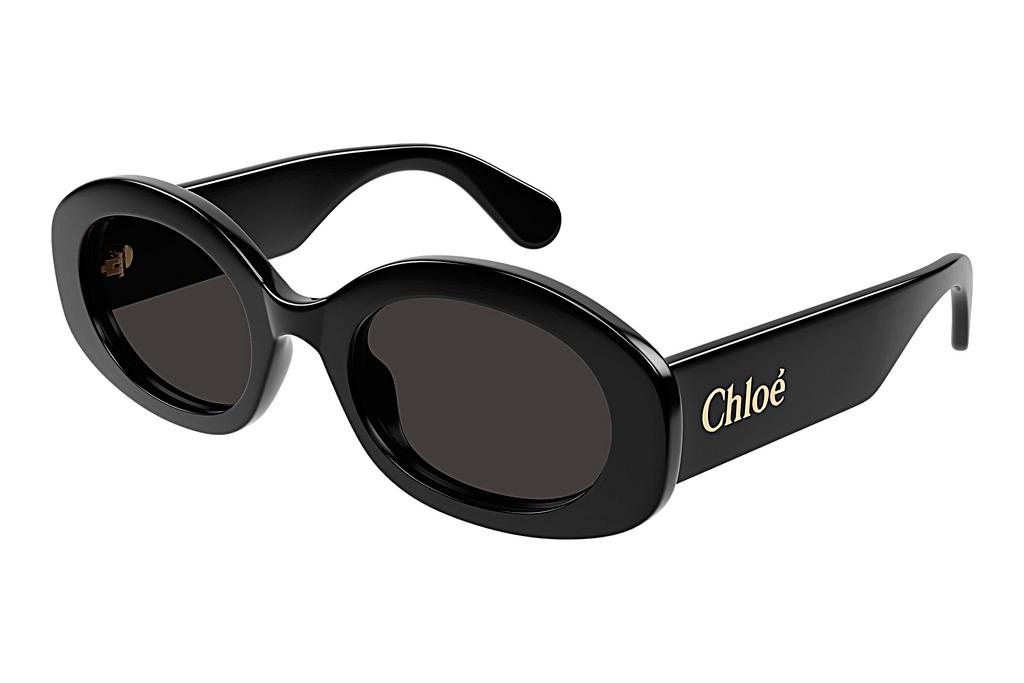 Chloé   CH0258S 001 BLACK