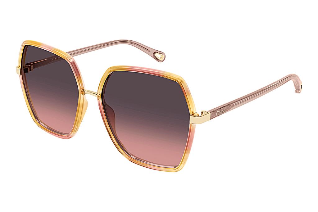 Chloé   CH0262S 003 HAVANA