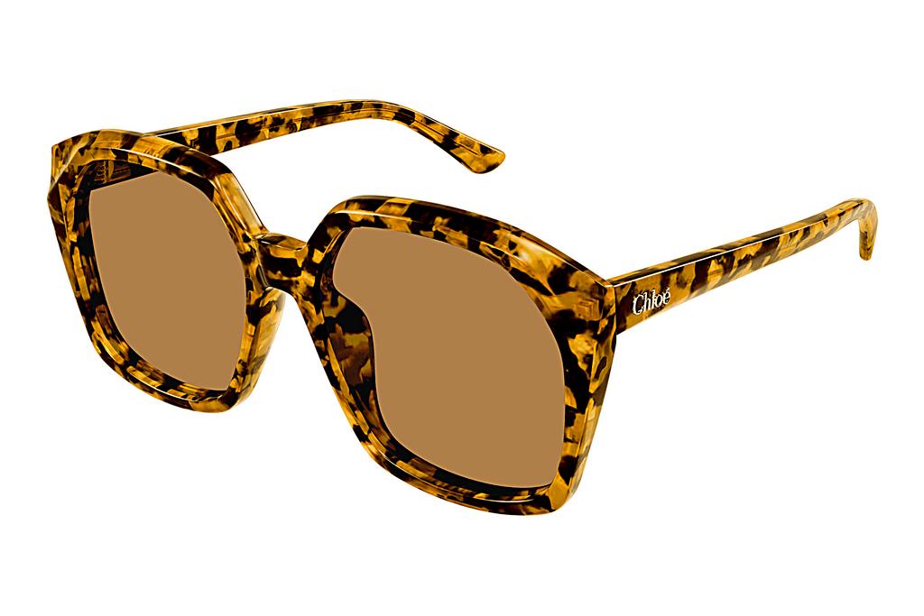 Chloé   CH0280S 007 HAVANA