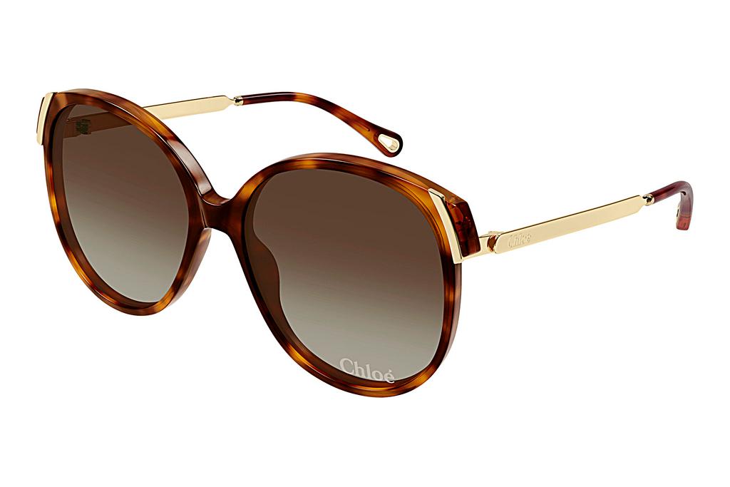 Chloé   CH0285S 002 HAVANA