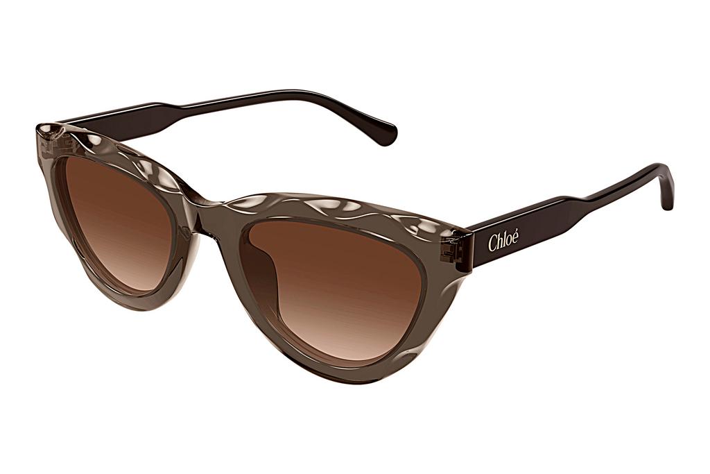 Chloé   CH0294S 003 BROWN