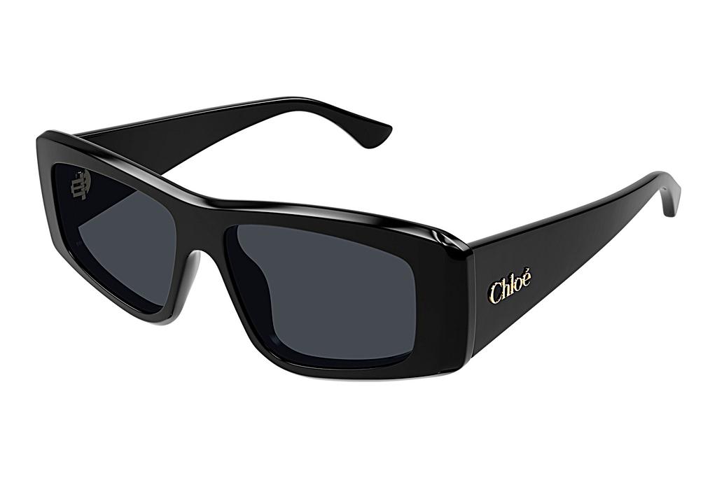 Chloé   CH0299S 001 BLACK