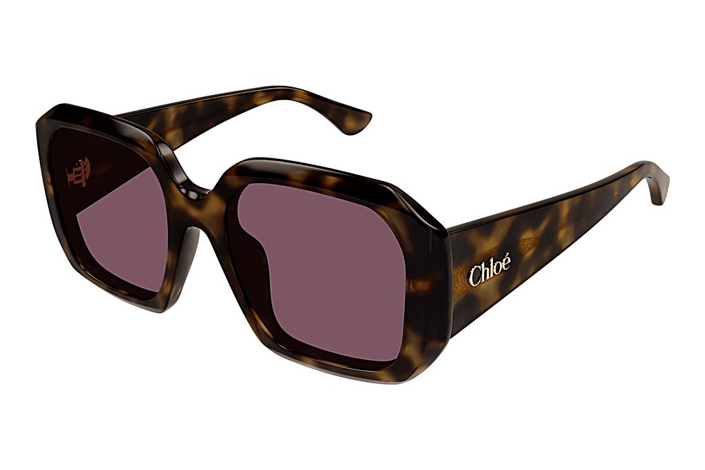 Chloé   CH0300S 002 HAVANA