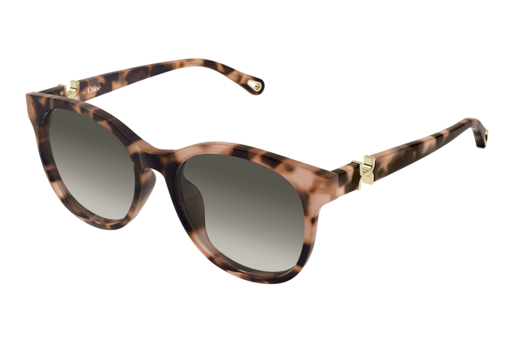 Chloé   CH0375SK 002 HAVANA