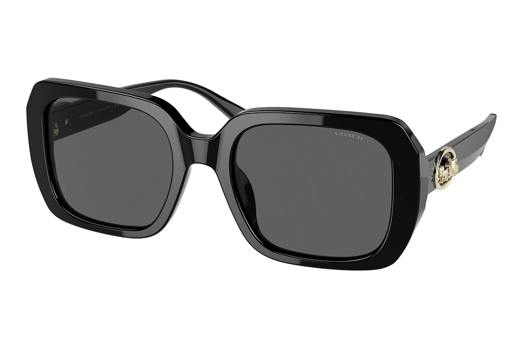 Coach   HC8329U 500287 Dark Grey SolidBlack
