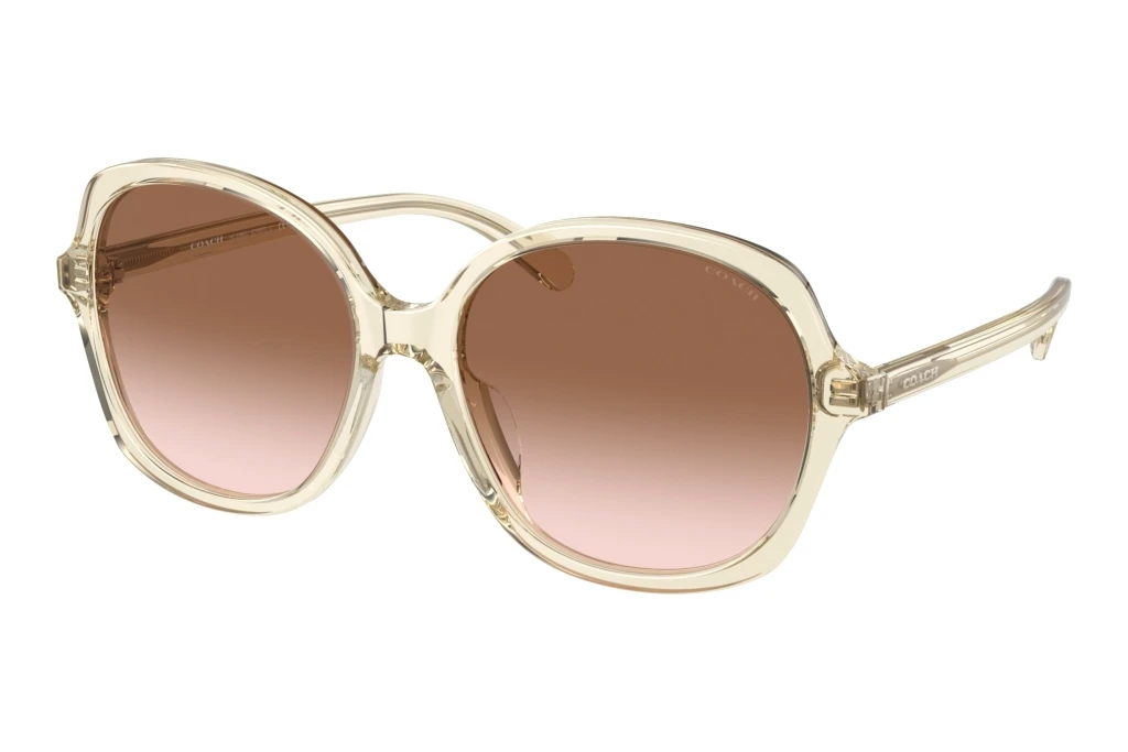 Coach   HC8360U 573613 Brown GradientTransparent Fawn