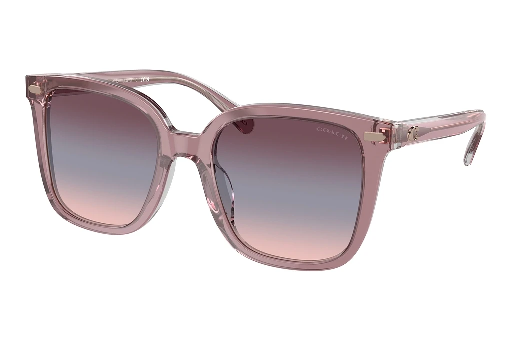Coach   HC8381U 57820J BluePink