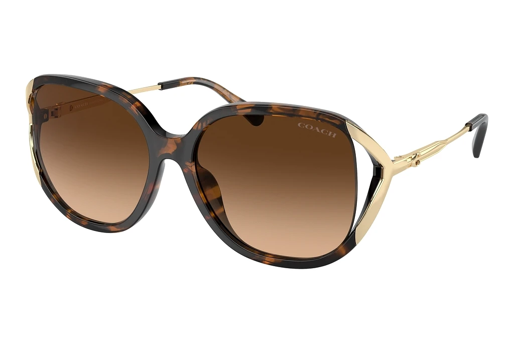 Coach   HC8396U 512074 Brown GradientDark Tortoise