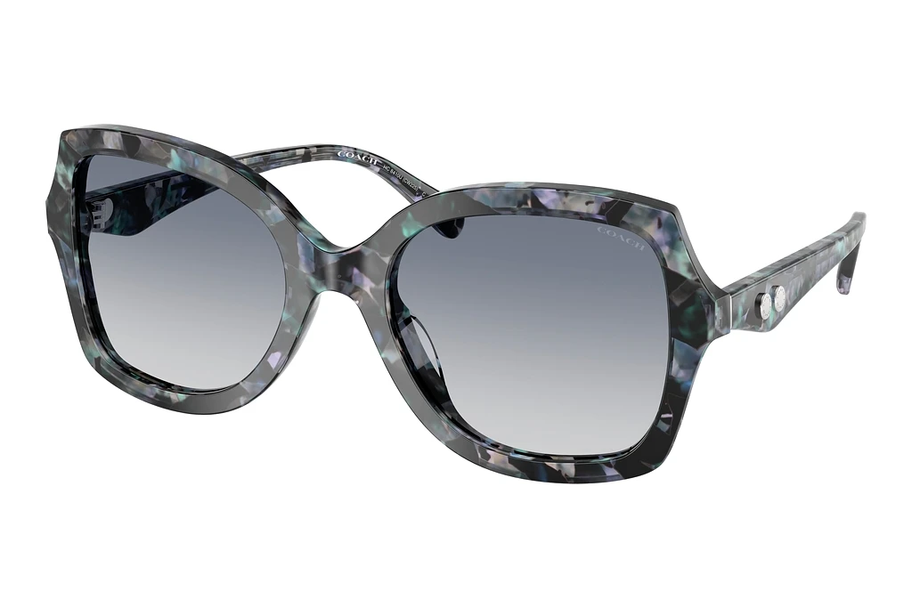 Coach   HC8410U 584535 Blue Purple GradientBlue Pearl Tortoise