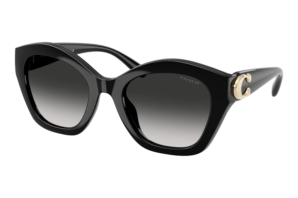 Coach   HC8421U 50023C Grey GradientBlack