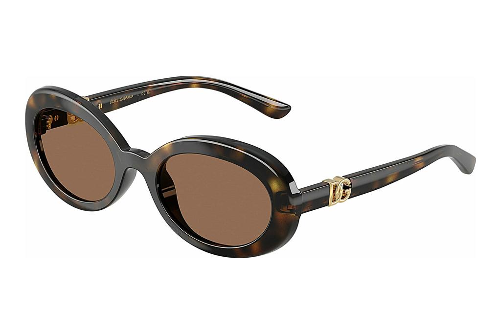 Dolce & Gabbana   DX6007U 502/73 Dark BrownHavana