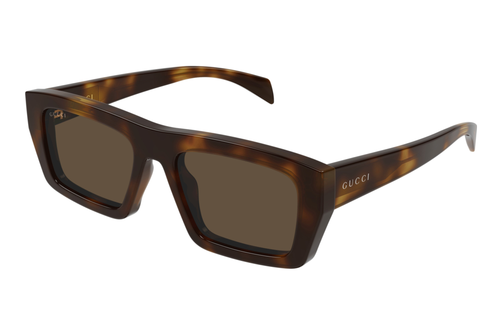 Gucci   GG2020S 002 HAVANA