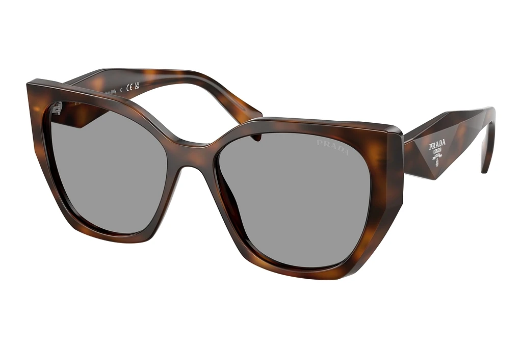 Prada   PR 19ZS 20D50Q GreyJuniper Tortoise