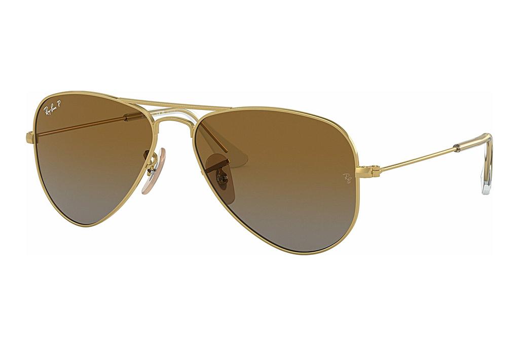 Ray-Ban Kids   RJ9506S 223/T5 BrownArista Gold