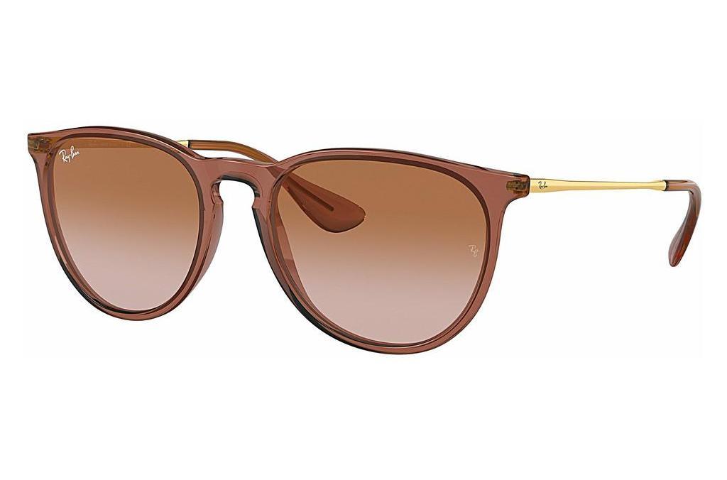 Ray-Ban   RB4171 659013 Gradient BrownTransparent Light Brown