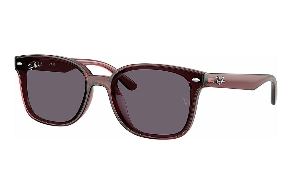 Ray-Ban   RB4461D 659373 VioletTransparent Dark Brown