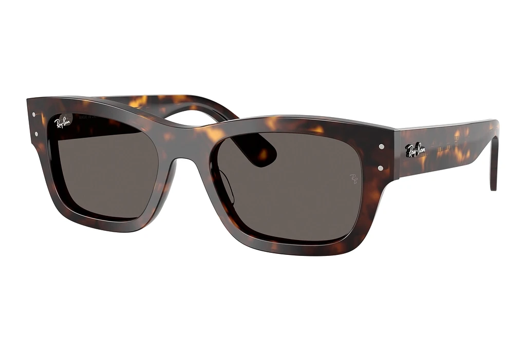 Ray-Ban   RB7683S 902/B1 Dark GreyHavana