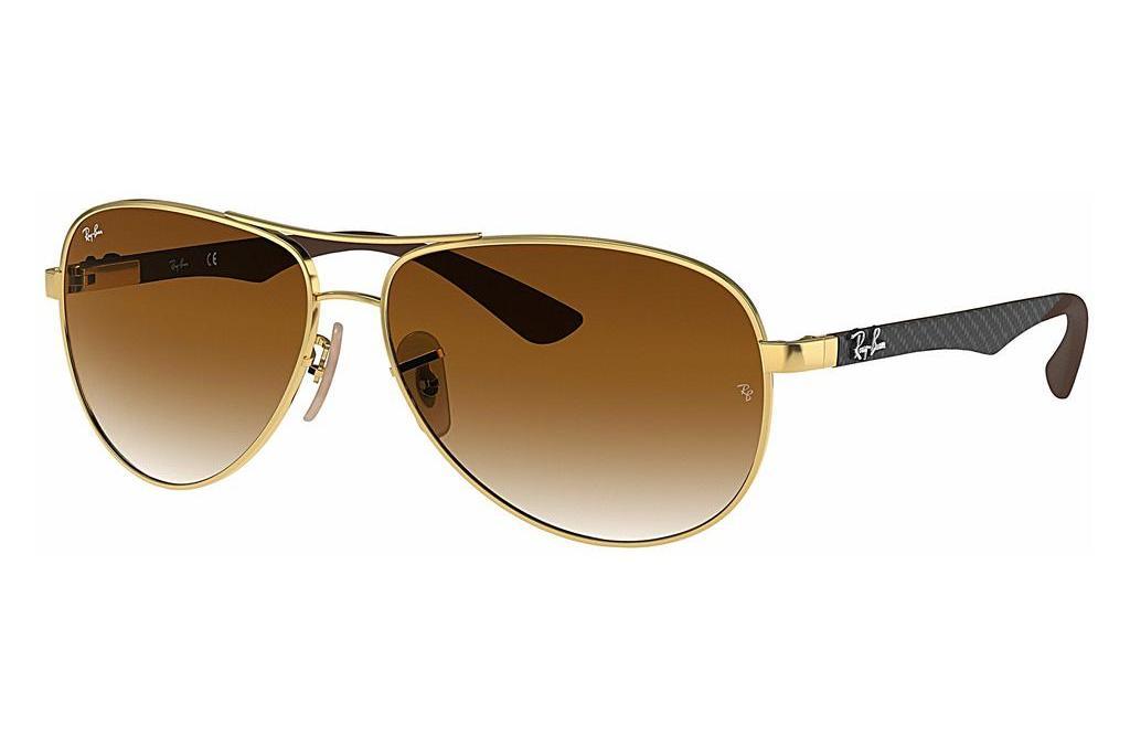 Ray-Ban   RB8313 001/51 Light Brown GradientGold
